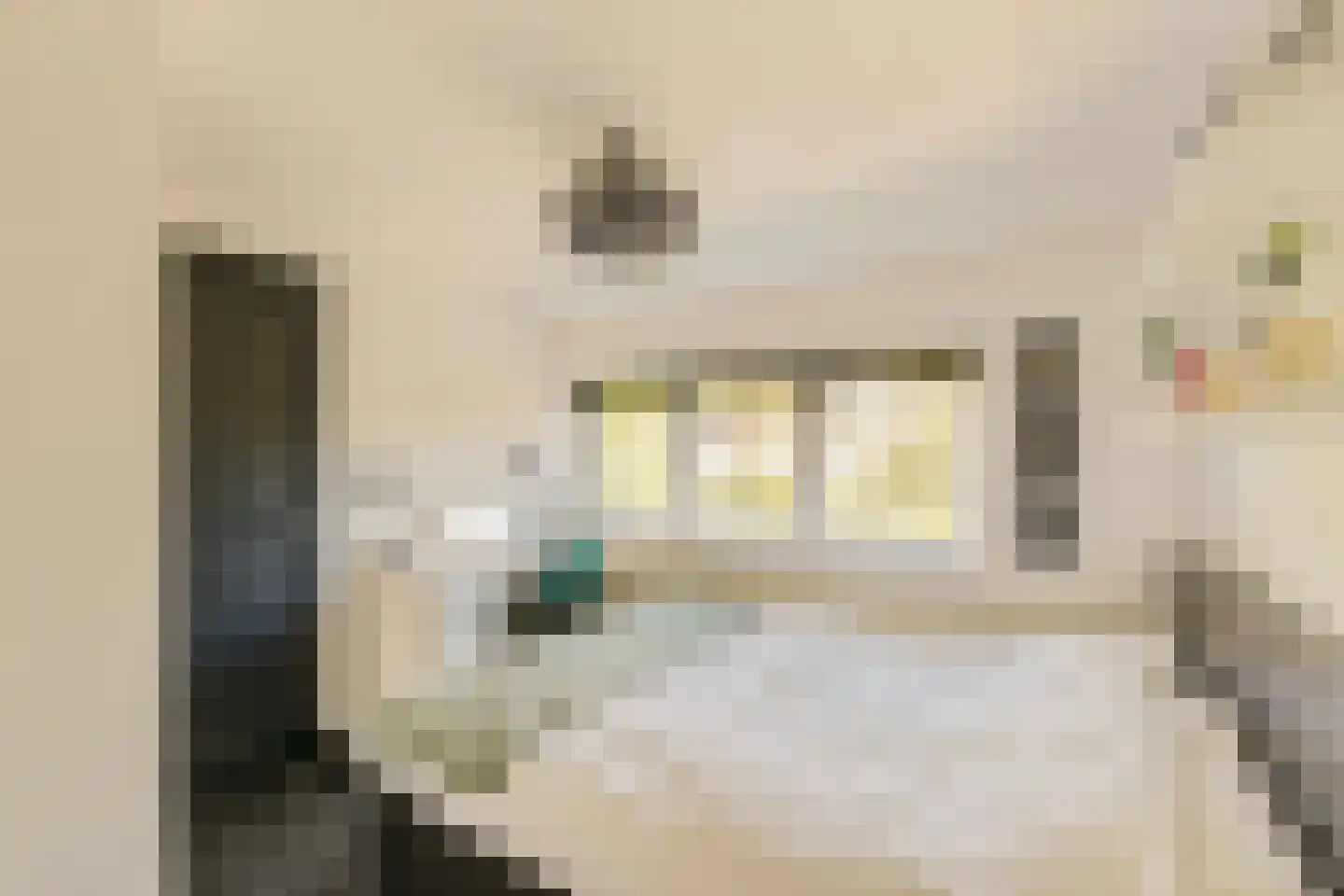 Frans Langeveldlaan 16 Laren thumbnail 38