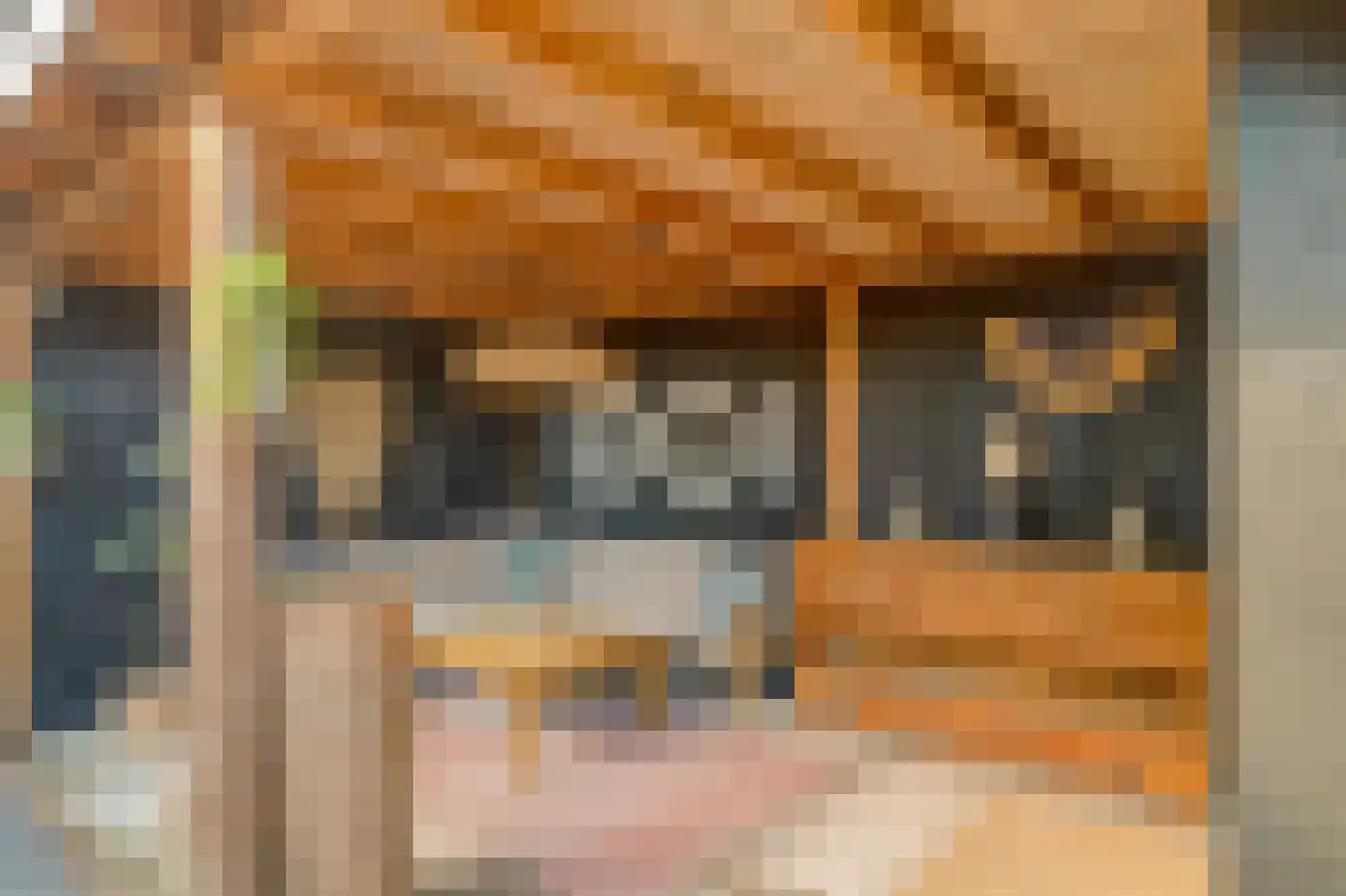 Frans Langeveldlaan 16 Laren thumbnail 4