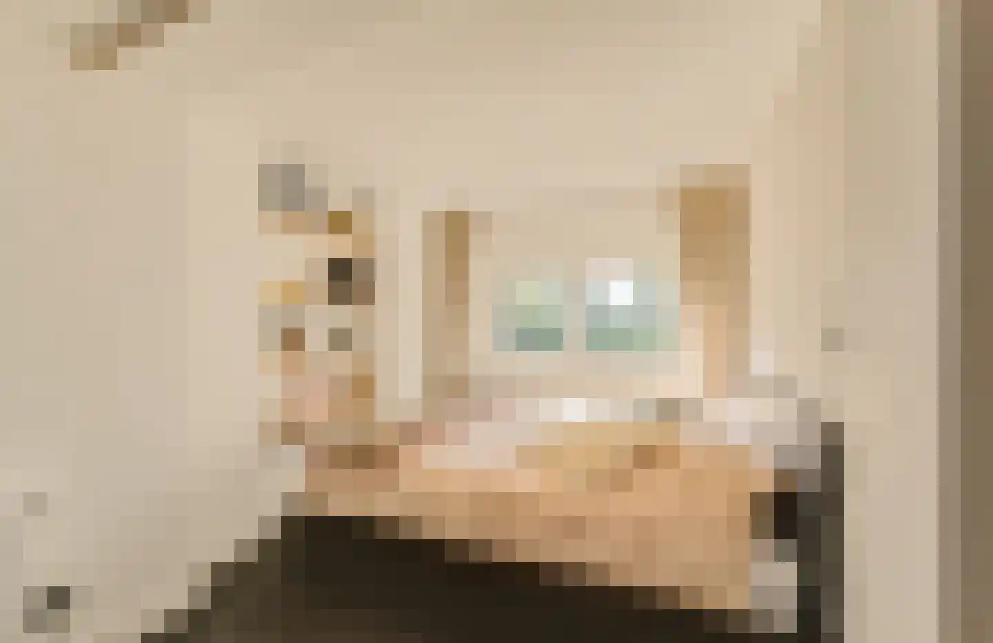 Frans Langeveldlaan 16 Laren thumbnail 41