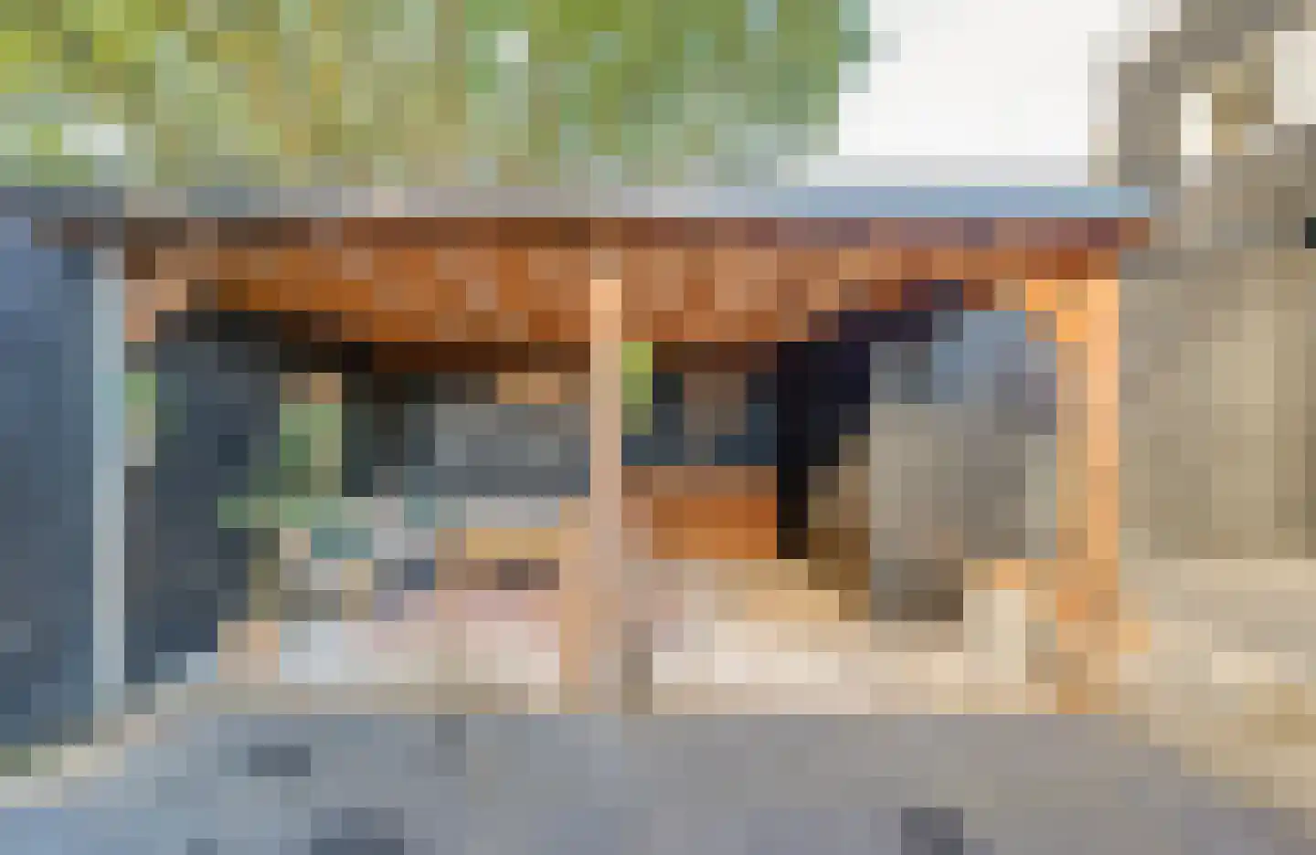 Frans Langeveldlaan 16 Laren thumbnail 52