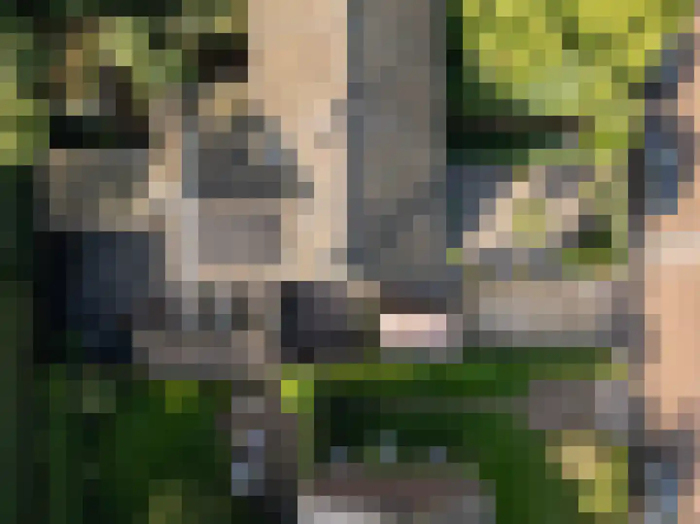 Frans Langeveldlaan 16 Laren thumbnail 56