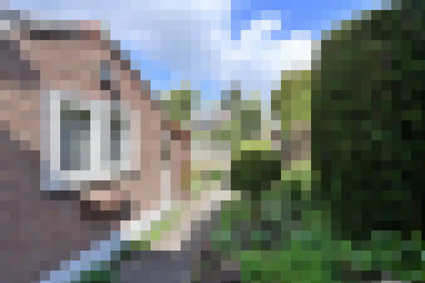 Frans Langeveldlaan 23 Laren thumbnail 15