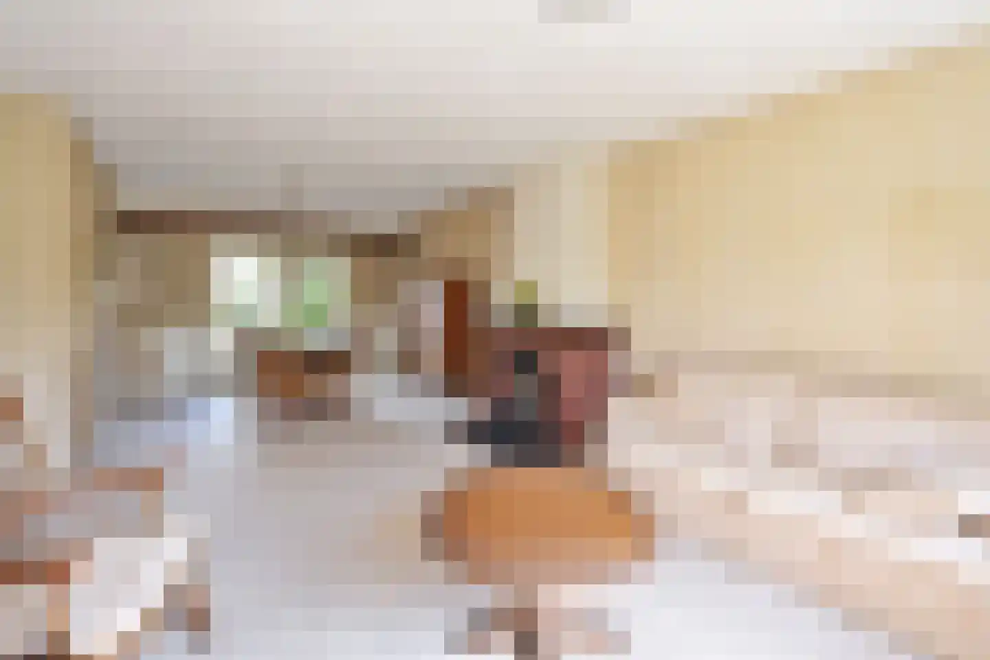 Frans Langeveldlaan 23 Laren thumbnail 4