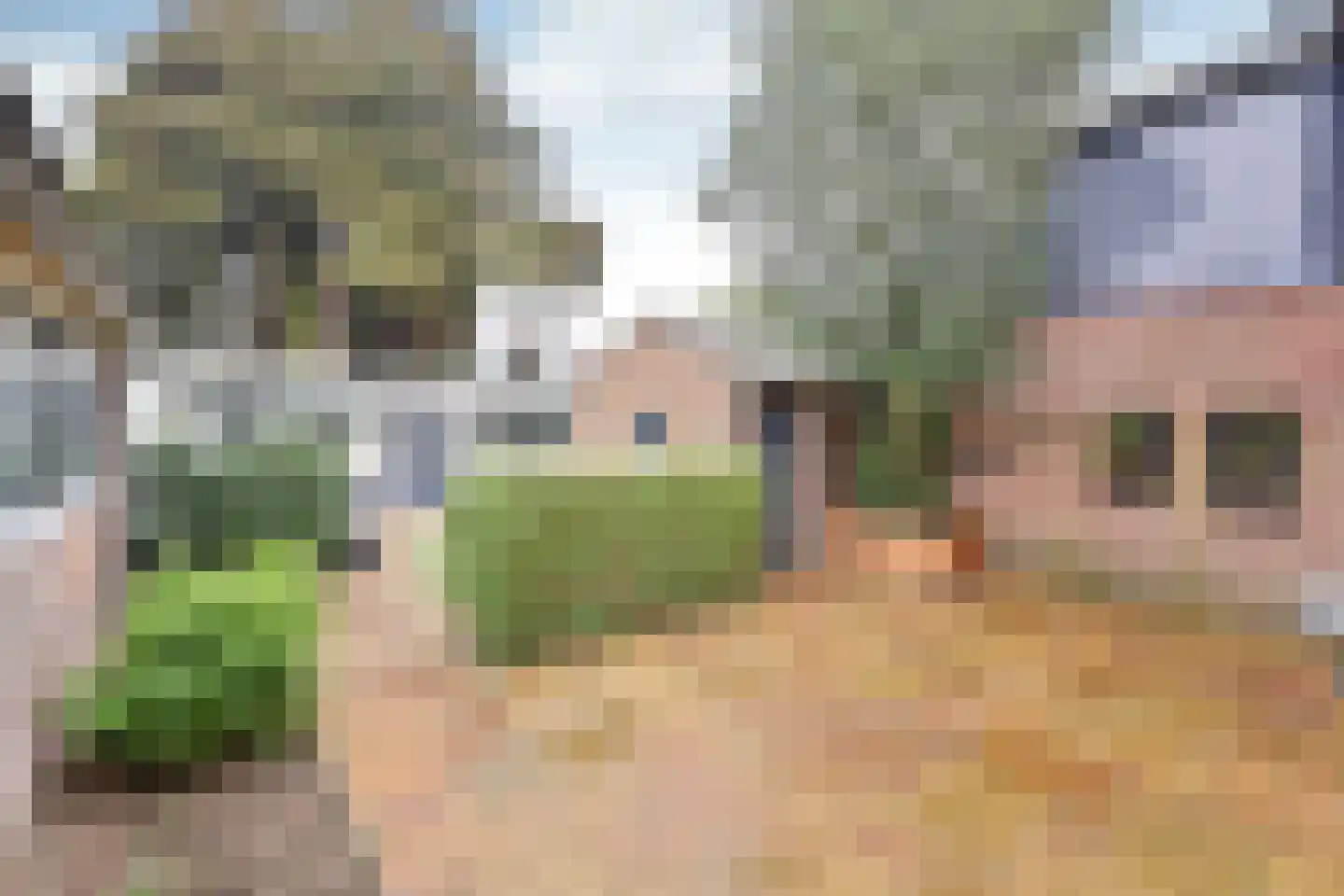 Frans Langeveldlaan 29 Laren thumbnail 16