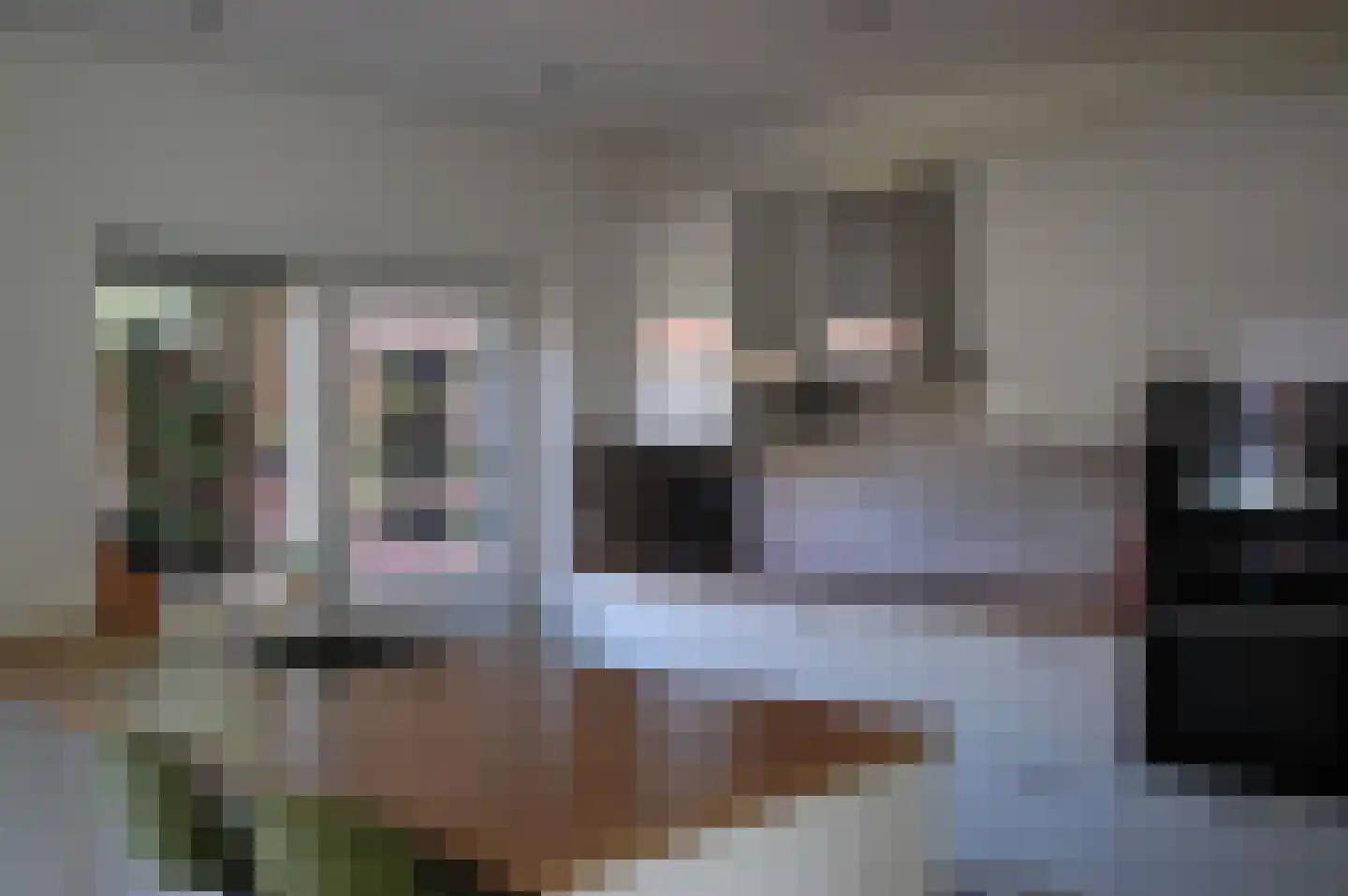 Frans Langeveldlaan 29 Laren thumbnail 8