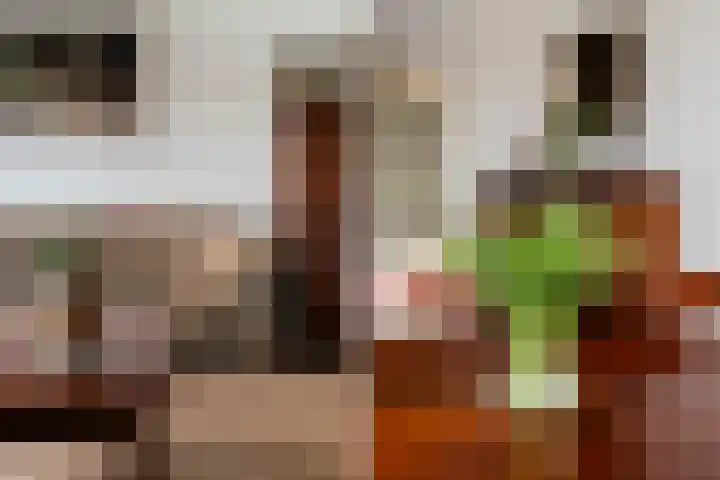 Frans Lebretlaan 1 J Dordrecht thumbnail 13