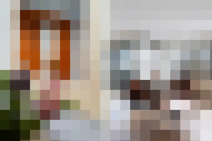 Frans Lebretlaan 1 J Dordrecht thumbnail 15