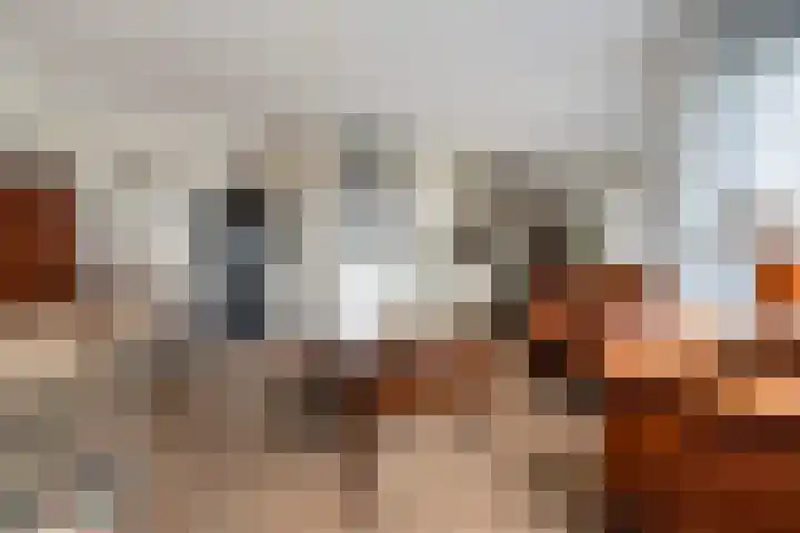 Frans Lebretlaan 1 J Dordrecht thumbnail 17