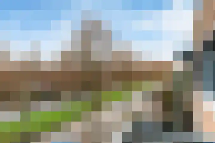 Frans Lebretlaan 1 J Dordrecht thumbnail 22