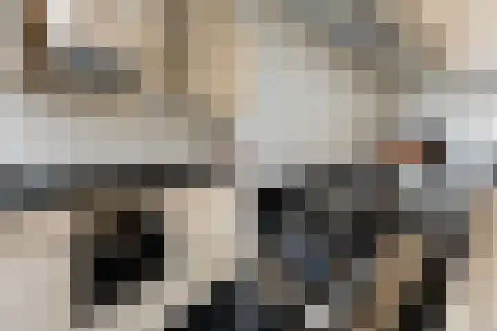 Frans Lebretlaan 1 J Dordrecht thumbnail 27