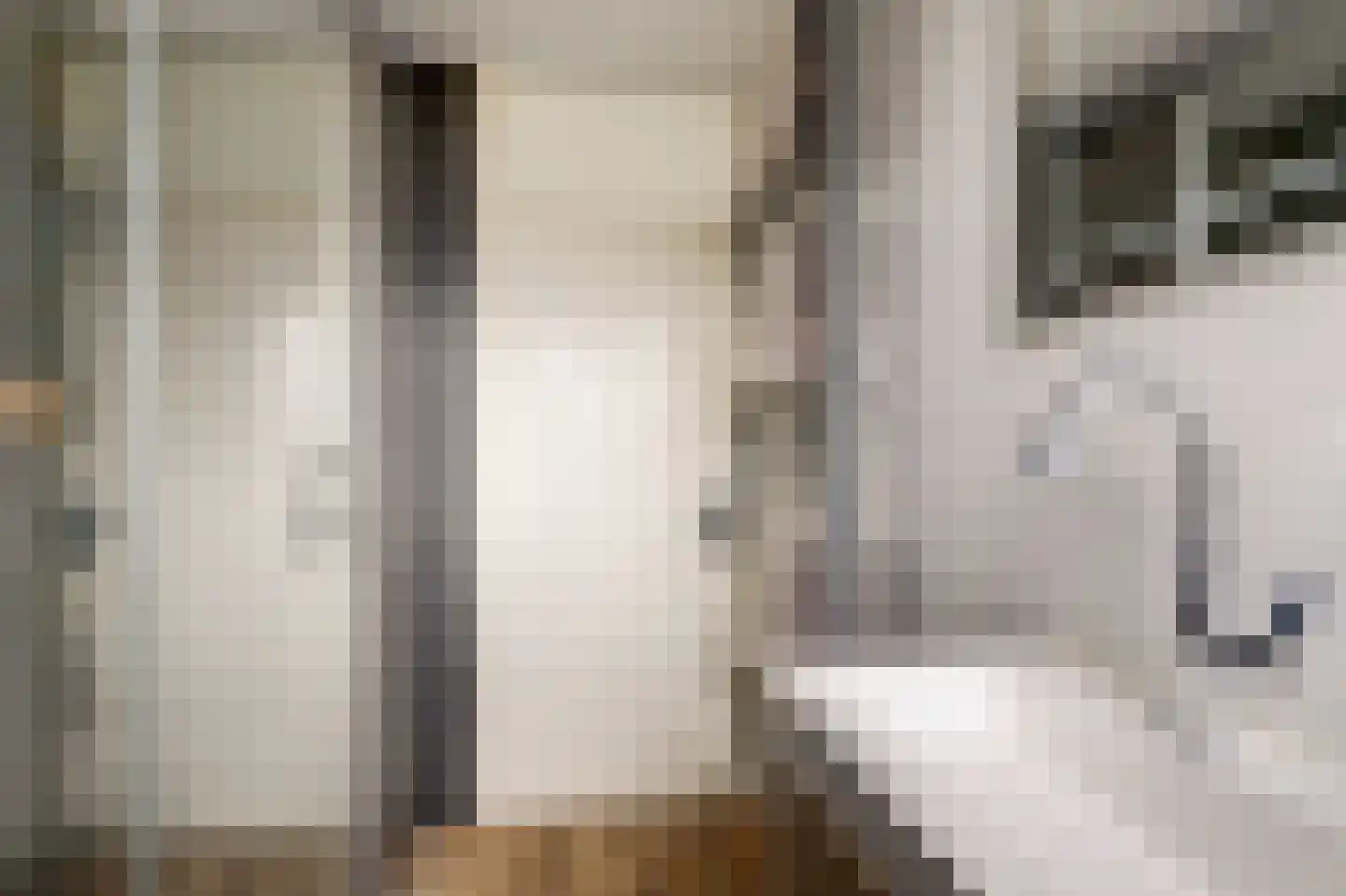 Frans Lebretstraat 20 Hendrik-Ido-Ambacht thumbnail 16