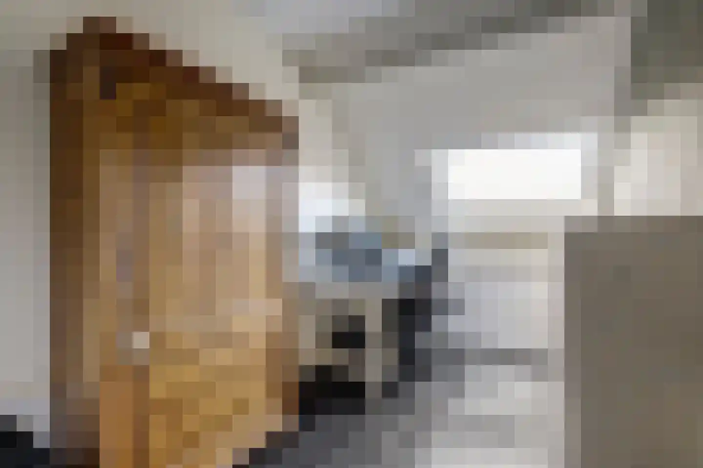 Frans Lebretstraat 20 Hendrik-Ido-Ambacht thumbnail 22