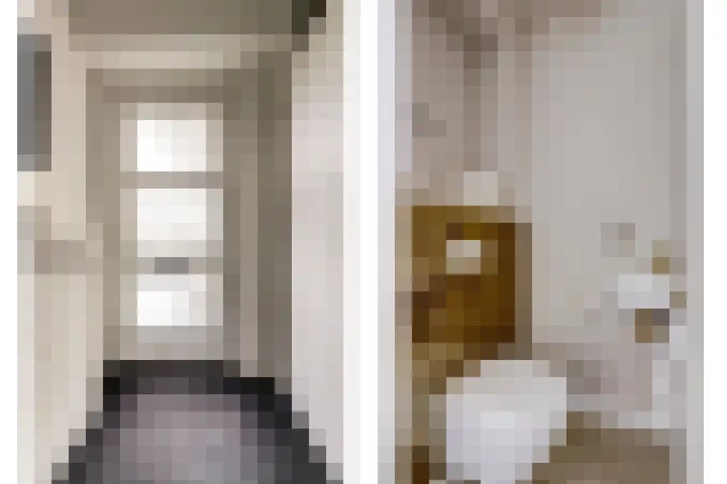 Frans Lebretstraat 20 Hendrik-Ido-Ambacht thumbnail 5