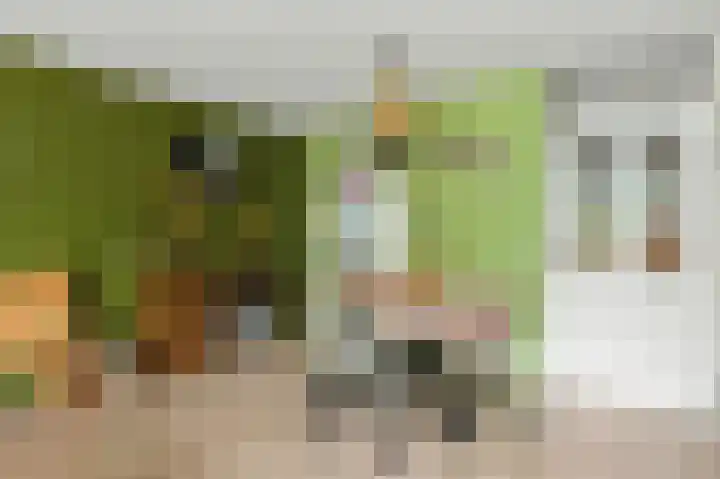 Frans Lebretstraat 4 Hendrik-Ido-Ambacht thumbnail 10