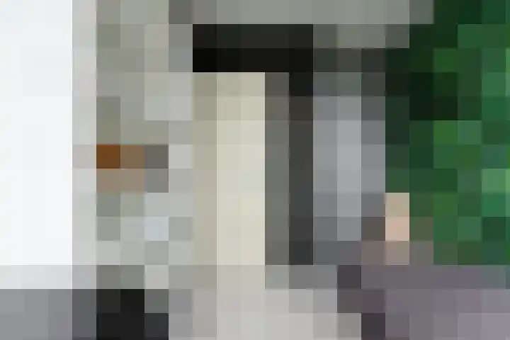 Frans Lebretstraat 4 Hendrik-Ido-Ambacht thumbnail 22