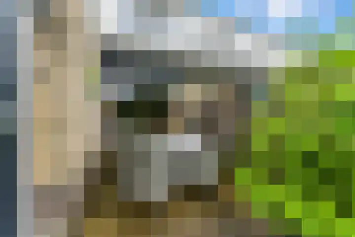Frans Lebretstraat 4 Hendrik-Ido-Ambacht thumbnail 33