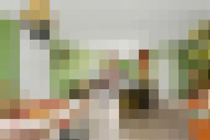 Frans Lebretstraat 4 Hendrik-Ido-Ambacht thumbnail 9