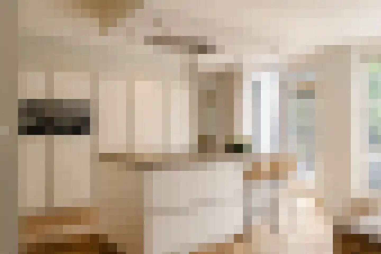 Frans Lisztlaan 14 Heemstede thumbnail 18