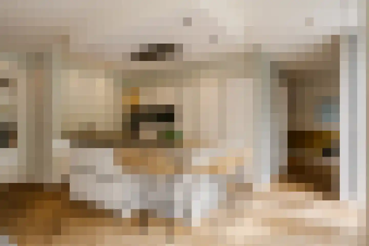 Frans Lisztlaan 14 Heemstede thumbnail 19