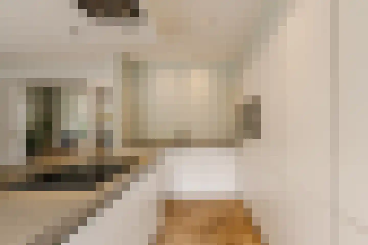 Frans Lisztlaan 14 Heemstede thumbnail 20