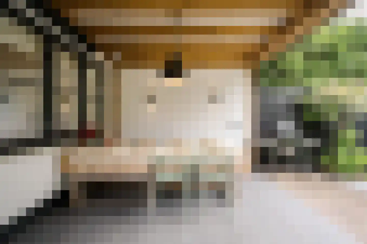 Frans Lisztlaan 14 Heemstede thumbnail 33
