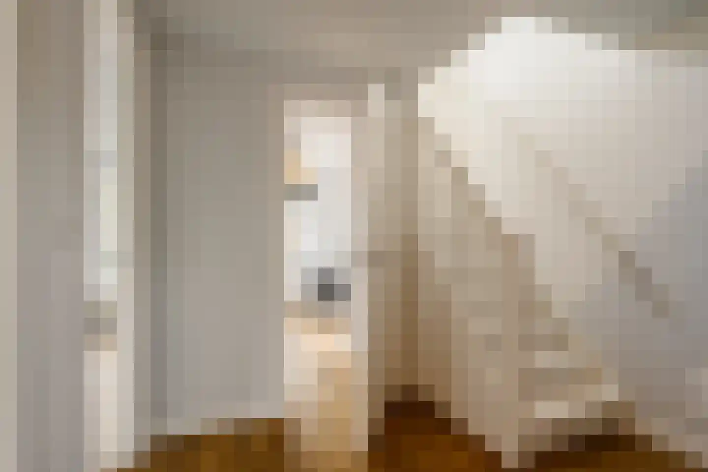 Frans Lisztlaan 14 Heemstede thumbnail 52