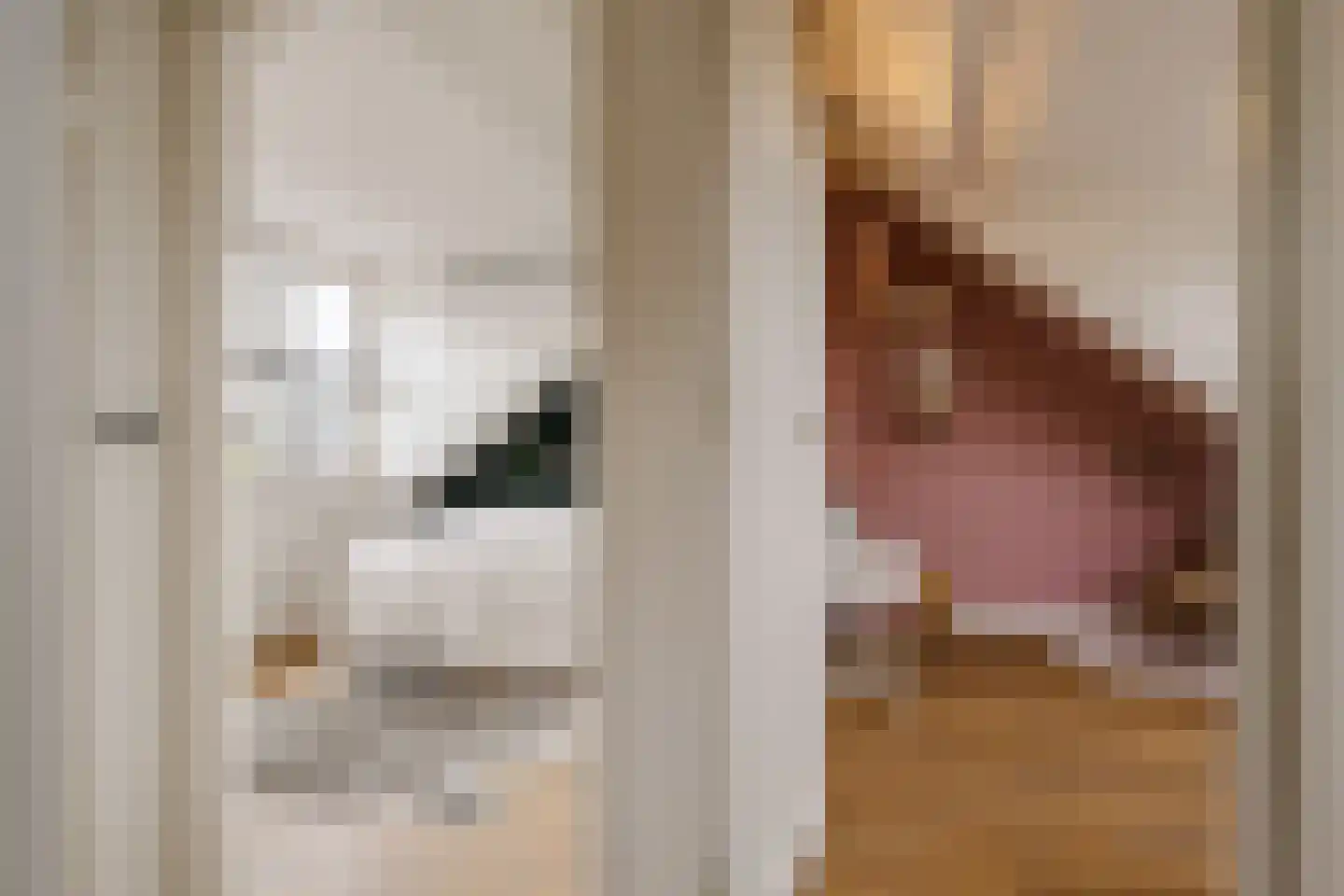 Frans Lisztlaan 14 Heemstede thumbnail 54