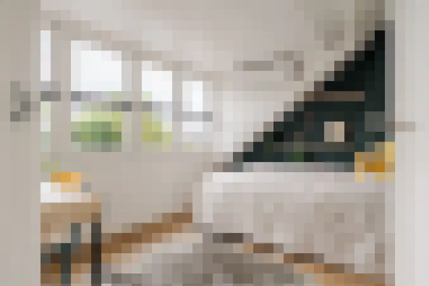 Frans Lisztlaan 14 Heemstede thumbnail 57