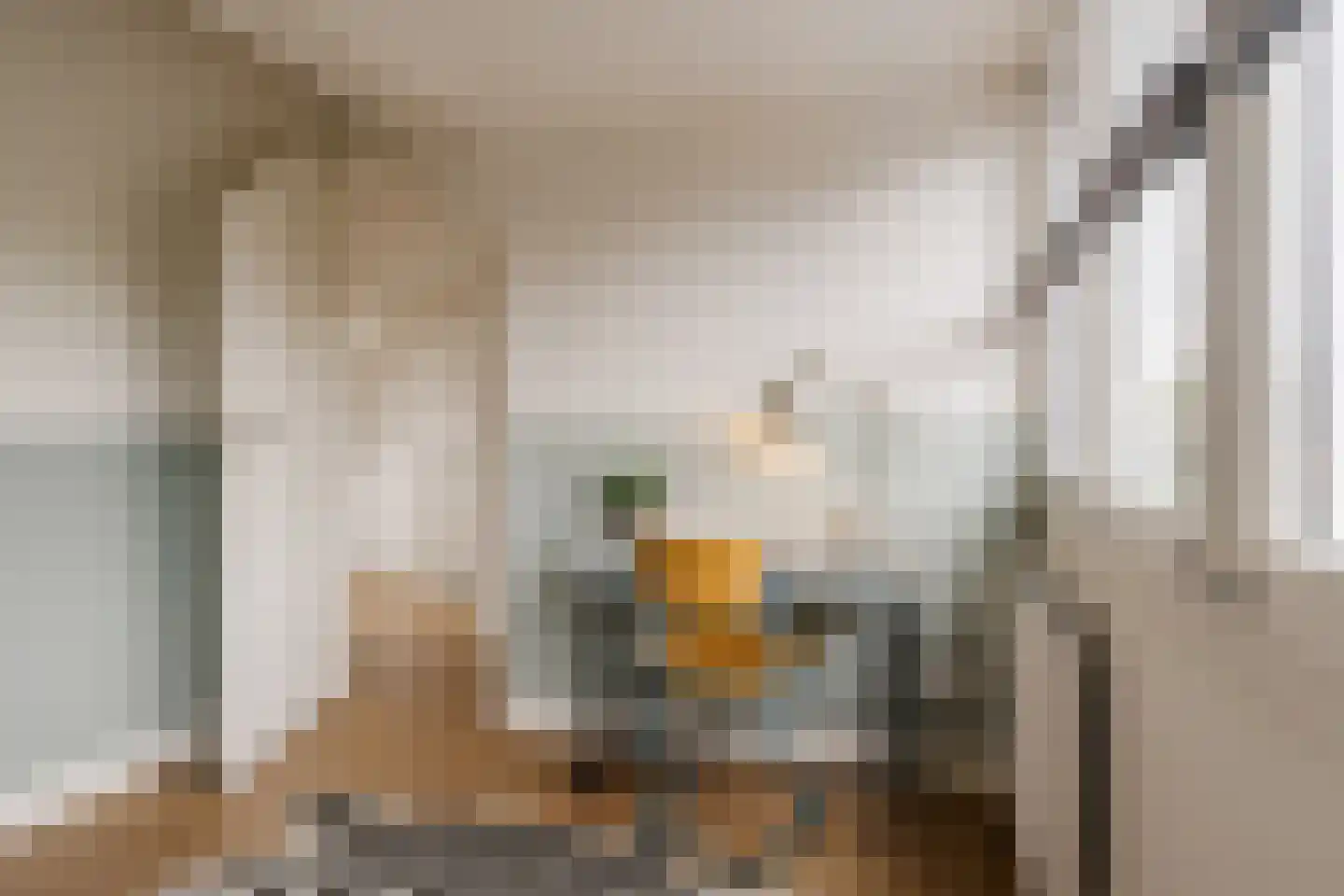 Frans Lisztlaan 14 Heemstede thumbnail 59