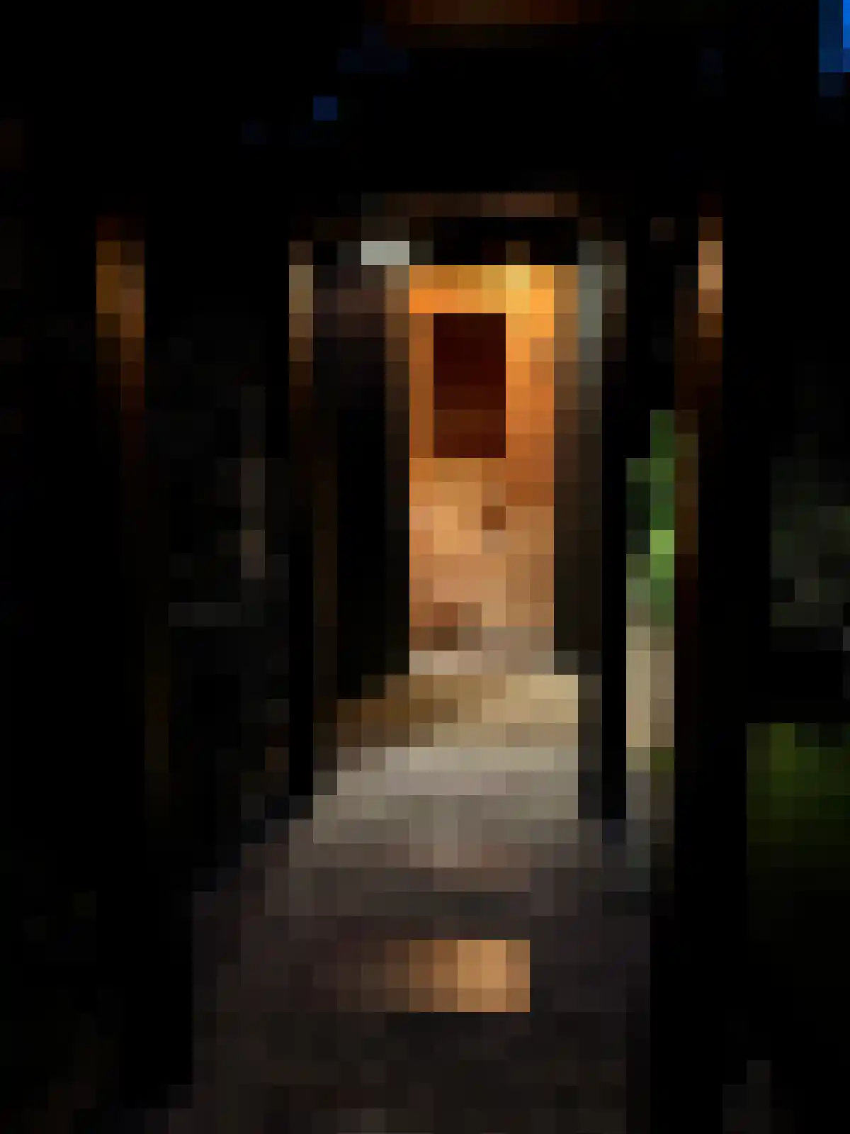 Frans Lisztlaan 14 Heemstede thumbnail 65