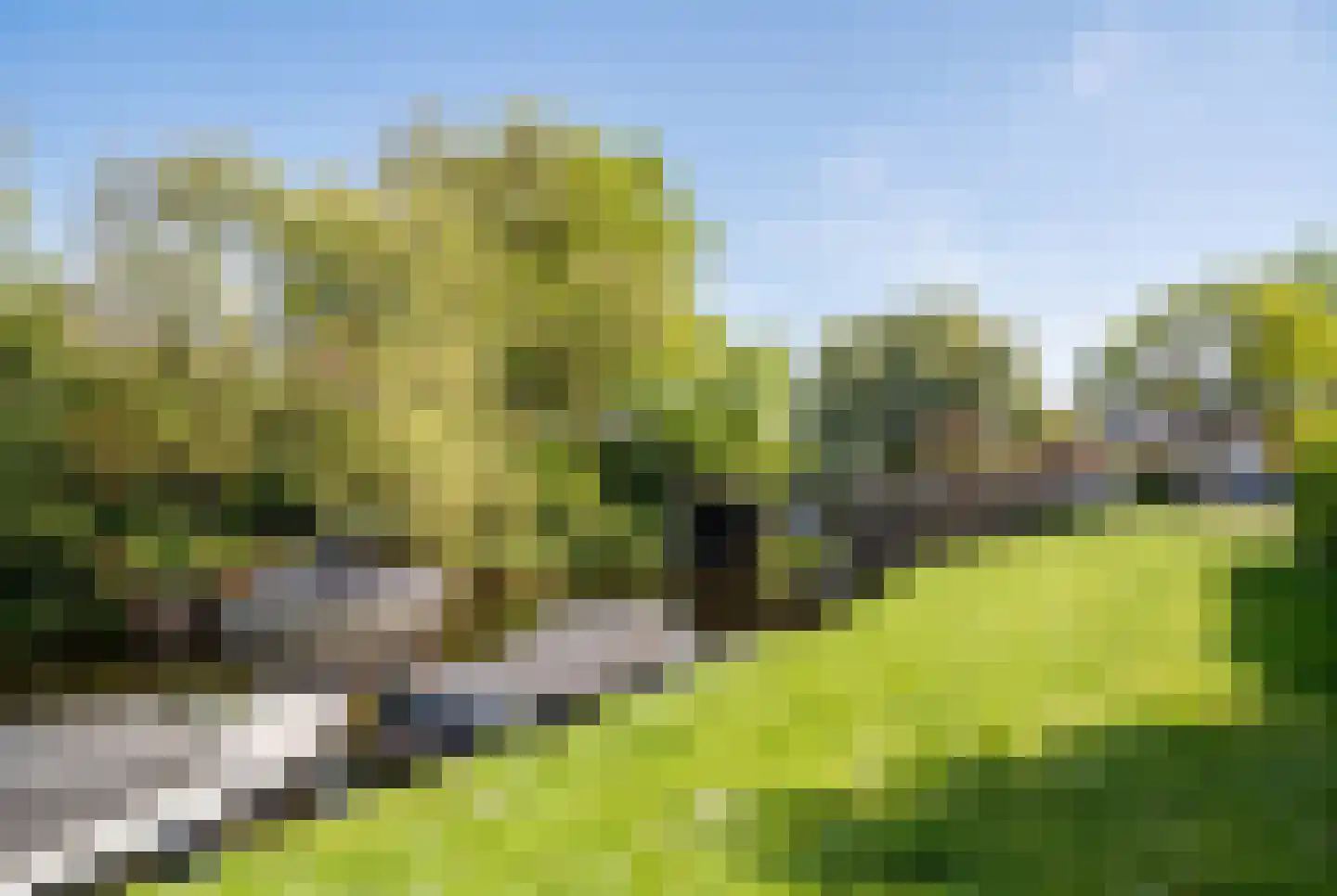 Frans Lisztlaan 14 Heemstede thumbnail 68
