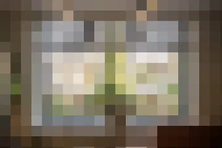 Frans Lisztlaan 20 Heemstede thumbnail 10