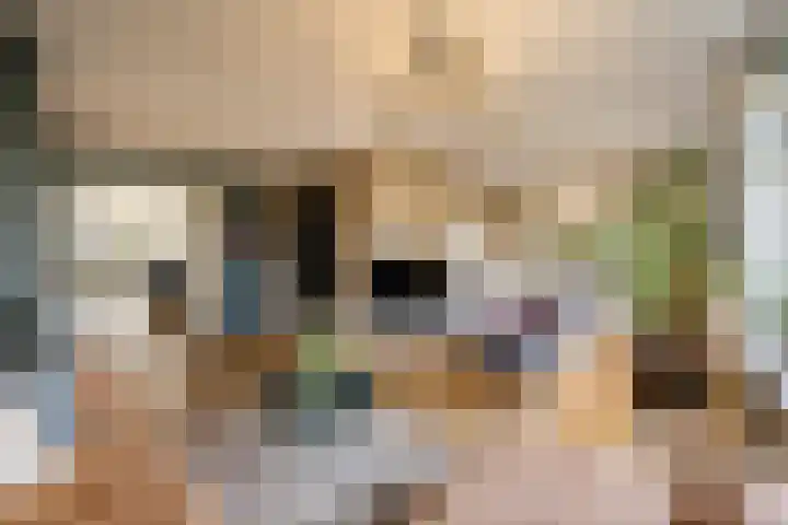 Frans Lisztlaan 20 Heemstede thumbnail 11