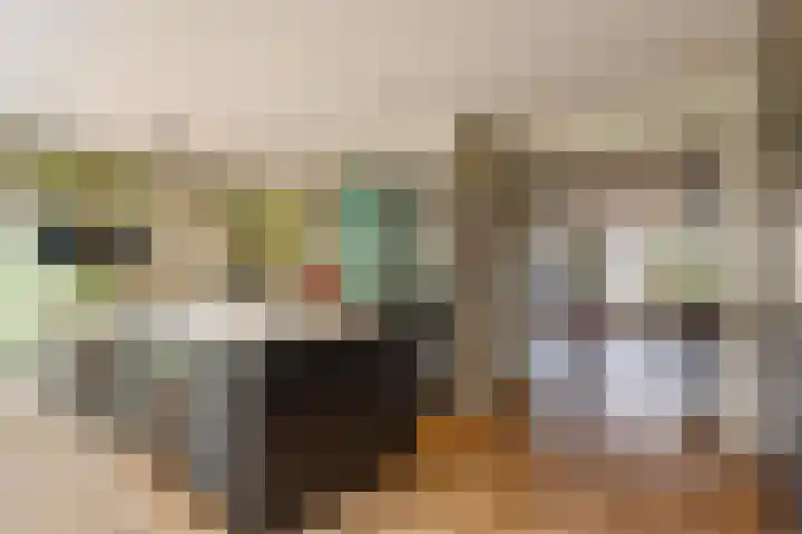 Frans Lisztlaan 20 Heemstede thumbnail 16