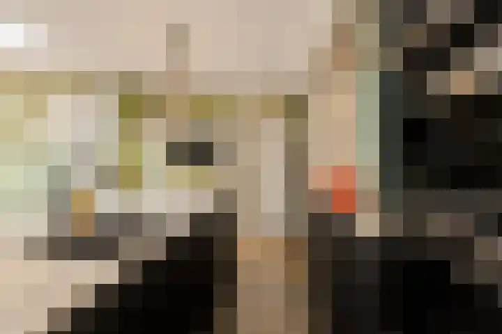 Frans Lisztlaan 20 Heemstede thumbnail 18