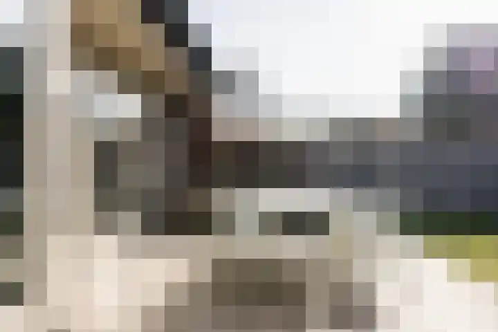 Frans Lisztlaan 20 Heemstede thumbnail 25