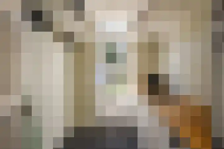 Frans Lisztlaan 20 Heemstede thumbnail 30