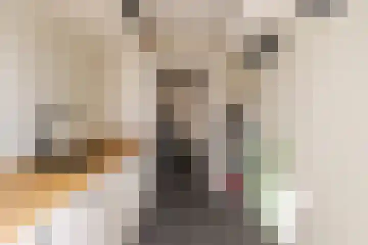 Frans Lisztlaan 20 Heemstede thumbnail 31