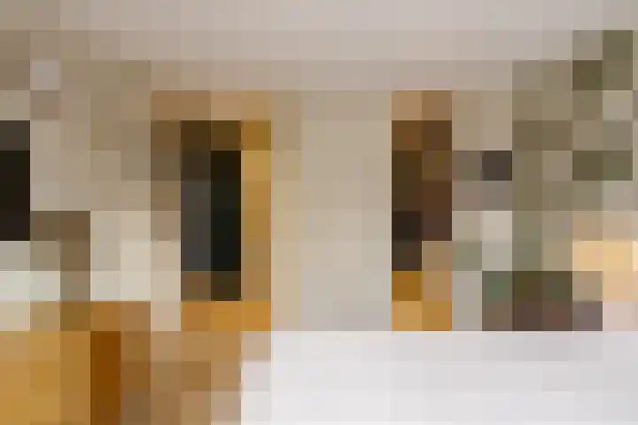 Frans Lisztlaan 20 Heemstede thumbnail 36