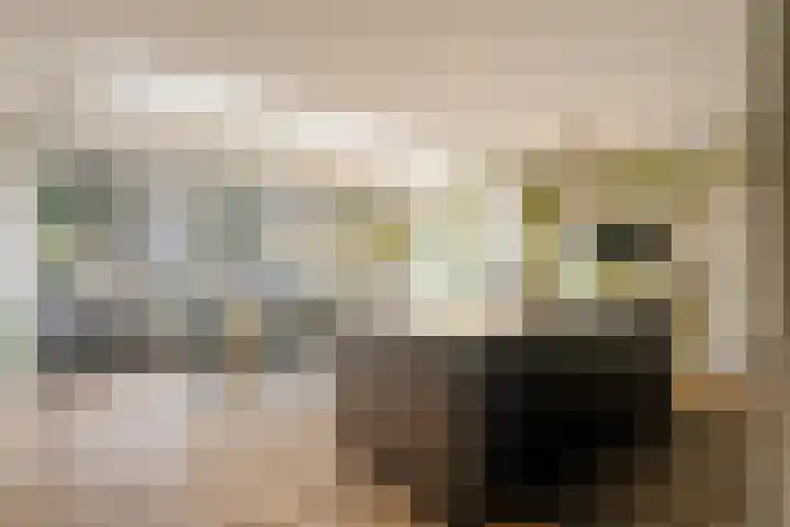 Frans Lisztlaan 20 Heemstede thumbnail 4