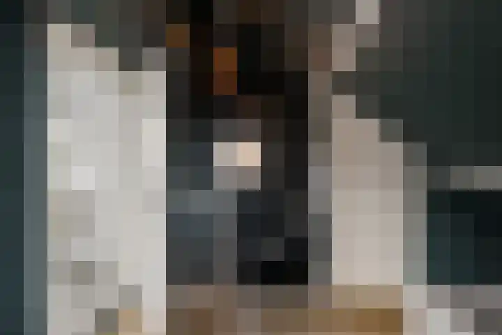 Frans Lisztlaan 20 Heemstede thumbnail 48