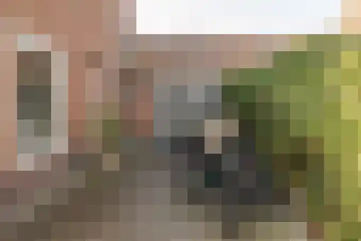 Frans Lisztlaan 20 Heemstede thumbnail 5