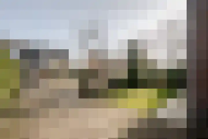 Frans Lisztlaan 20 Heemstede thumbnail 55