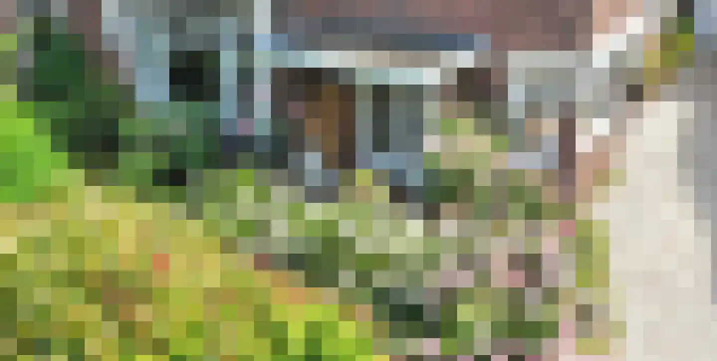 Frans Lisztlaan 27 Heemstede thumbnail 18