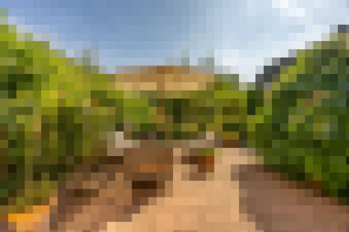 Frans Lisztlaan 27 Heemstede thumbnail 30