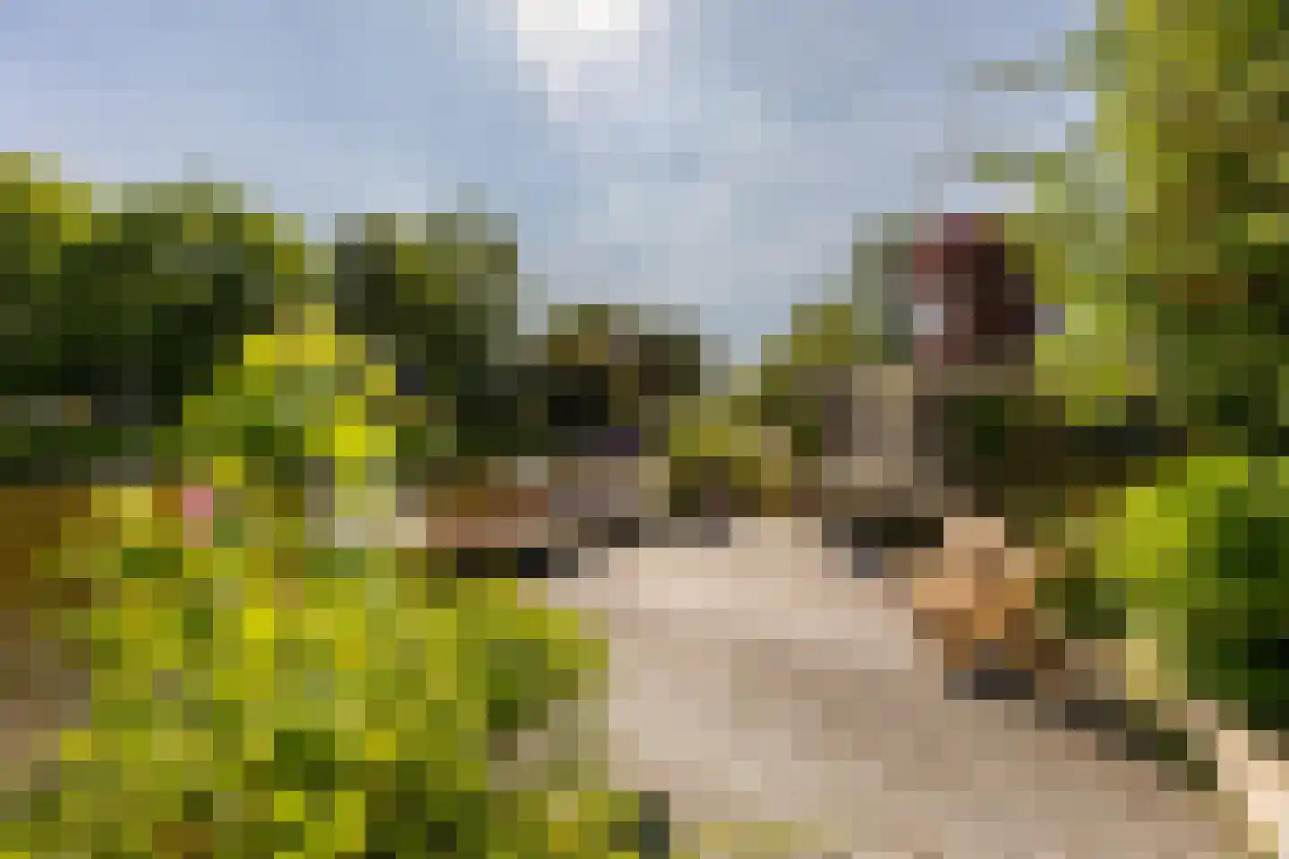 Frans Lisztlaan 27 Heemstede thumbnail 32