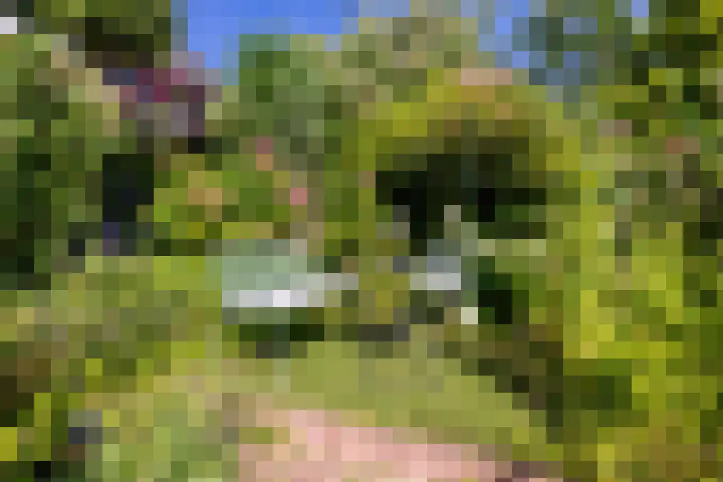 Frans Lisztlaan 27 Heemstede thumbnail 35