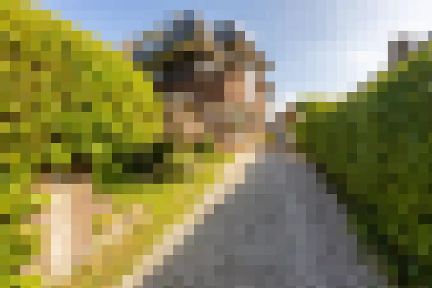 Frans Lisztlaan 27 Heemstede thumbnail 6