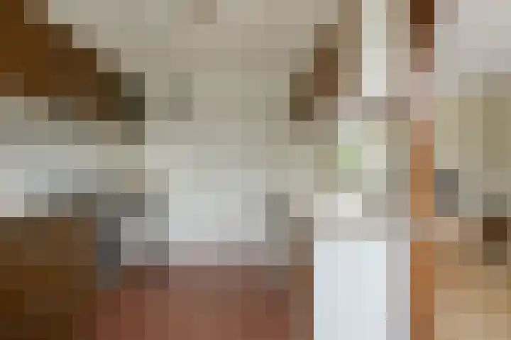 Frans Mentonstraat 24 Alkmaar thumbnail 8
