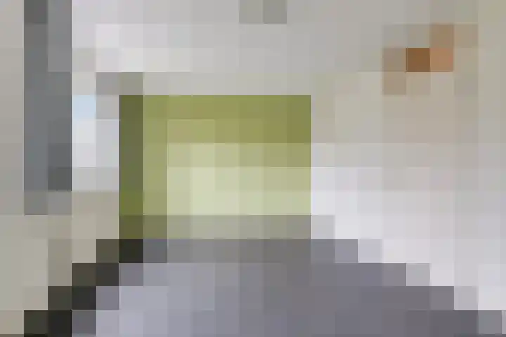 Frans Mentonstraat 3 Alkmaar thumbnail 13